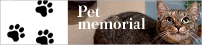 foot-catenavi-pet.jpg