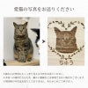 ペット桐骨壺入れ