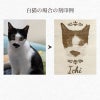 ペット桐骨壺入れ